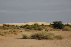 les dunes en fond